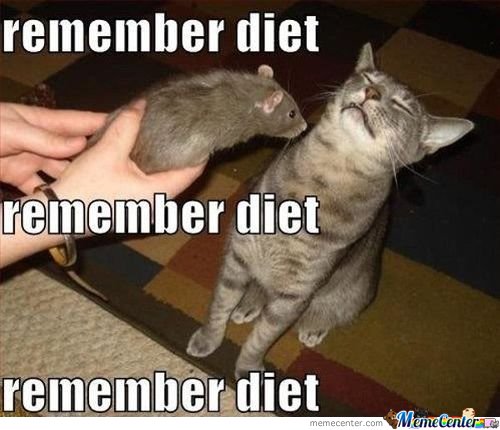 Remember-Diet-Meme.jpg
